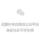 一篇文章带你了解什么是营销型网站及其重要性 配图1